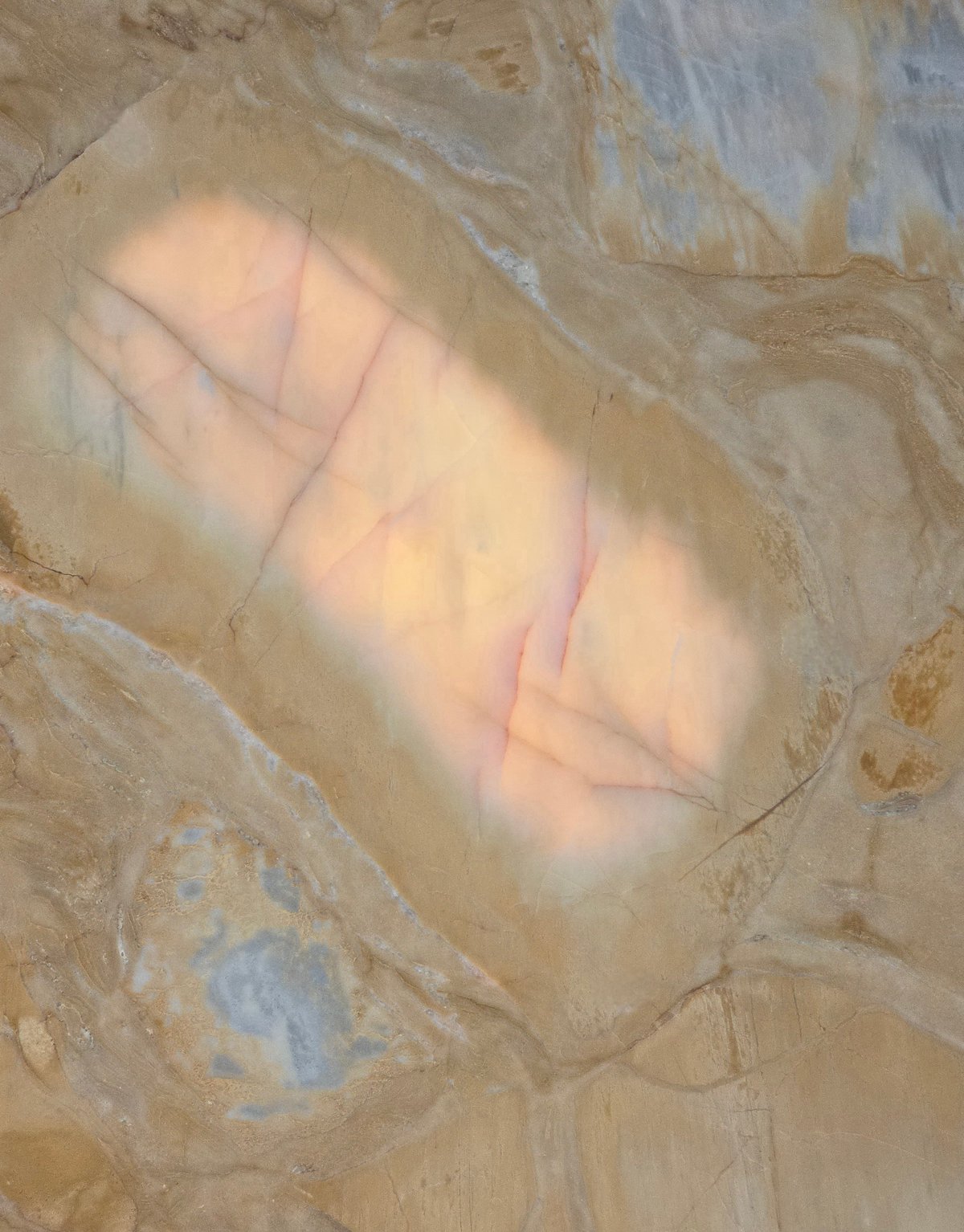 Close-up texture of Sunset Dolomite (Breccia) from Unknown