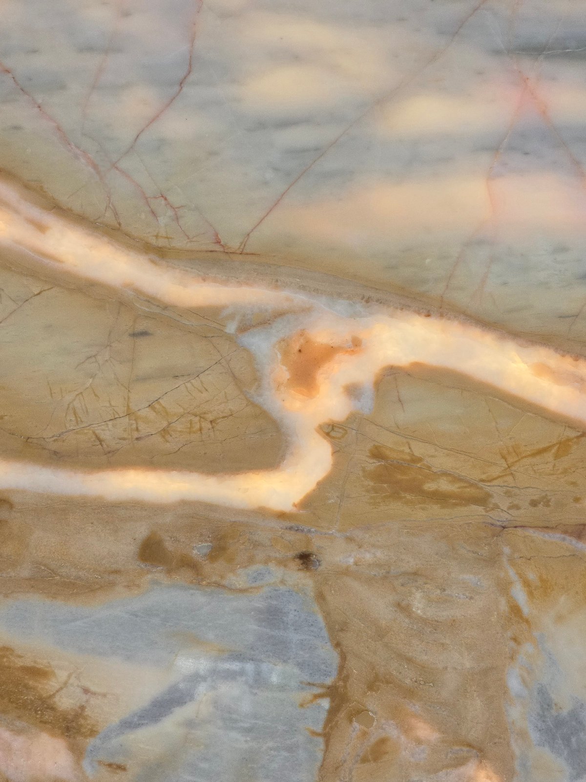 Close-up texture of Sunset Dolomite (Breccia) from Unknown